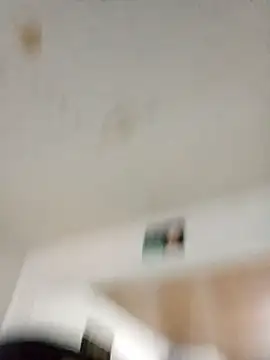 Snapshot of MgSL0 chatting on 12, 3, 2026 MgSL0 online show from 12, 3, 2026