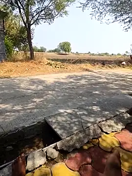 Fantasy King 3939 online show from 13, 3, 2026