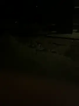 princessandthefootjob online show from 31, 3, 2026