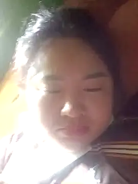 Meo-catwet online show from 15, 4, 2026