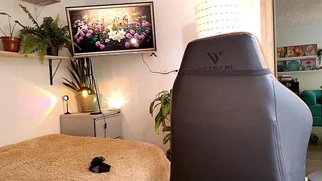 Sr evann online show from 17, 4, 2026