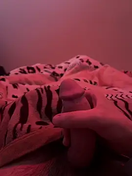 689Nika online show from 25, 4, 2026