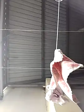 Jinnie sexy online show from 7, 3, 2026