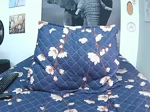 FireMontana9 online show from 1, 3, 2026