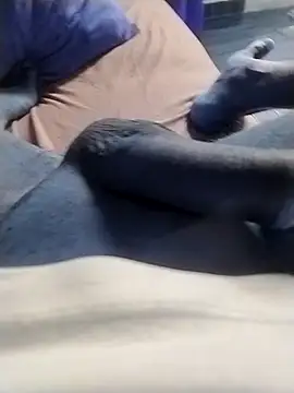 casal spzl online show from 9, 3, 2026