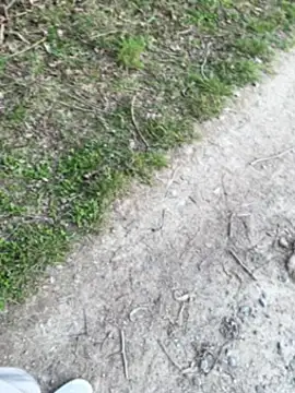 aras  25 online show from 9, 3, 2026