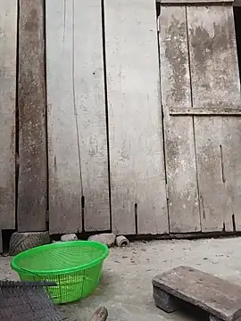 Snapshot of rinrin7700 chatting on 16, 4, 2026 rinrin7700 online show from 16, 4, 2026