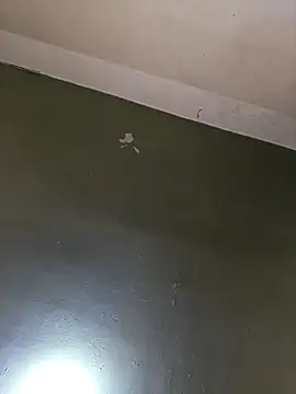 Miss Chloe91 online show from 2, 4, 2026