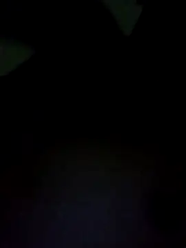 Snapshot of Angelxxx0826 chatting on 27, 2, 2026 Angelxxx0826 online show from 27, 2, 2026