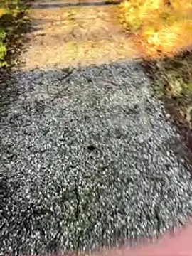 Sweetlauu online show from 1, 3, 2026