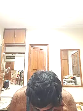 gregariouscarpet online show from 11, 4, 2026