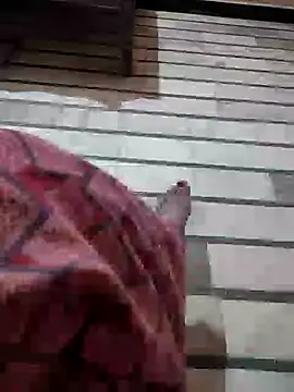 Tamillaxmi12 online show from 1, 3, 2026