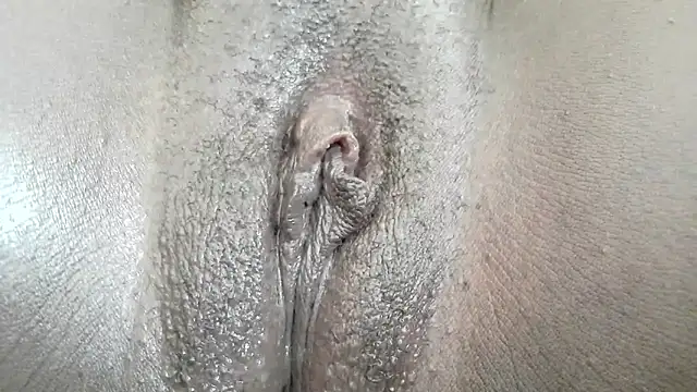 pinkycat online show from 12, 4, 2026