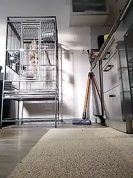 sexy8993 online show from 13, 4, 2026