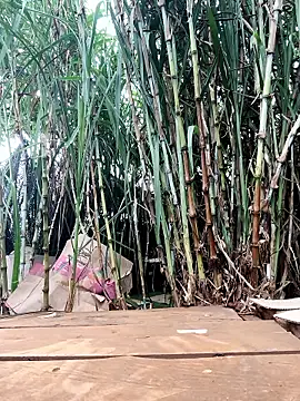 Tini-mimi online show from 23, 4, 2026