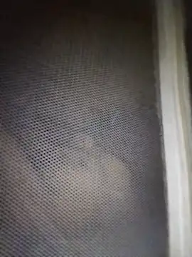 mylove-cute online show from 11, 4, 2026