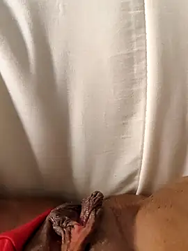 hasapequinha online show from 19, 3, 2026