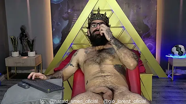 Snapshot of Haraldsmed chatting on 4, 7, 2026 Haraldsmed online show from 4, 7, 2026