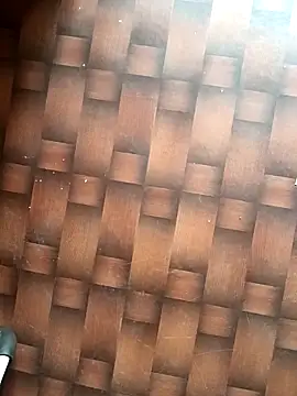 Dreamxii online show from 13, 3, 2026