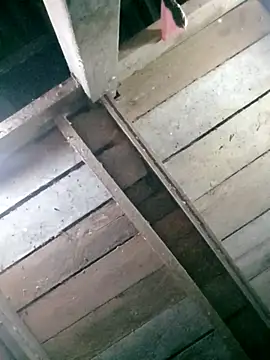 hasaki001 online show from 13, 4, 2026