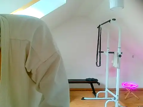 Snapshot of NinjaLaser chatting on 13, 4, 2026 NinjaLaser online show from 13, 4, 2026