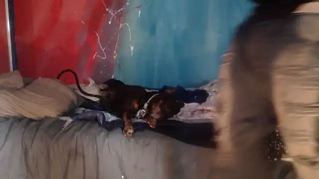 punkyslut69 online show from 14, 4, 2026