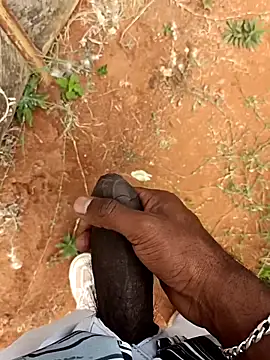 sanju 5418 online show from 31, 3, 2026