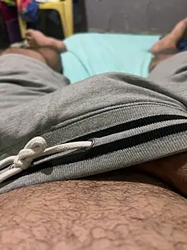 Panda 19cm online show from 26, 7, 2026