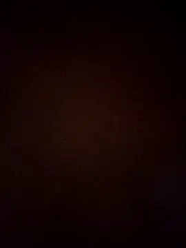 VENUSH STYLO online show from 31, 3, 2026