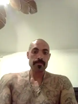 Snapshot of wesstfine chatting on 19, 5, 2026 wesstfine online show from 19, 5, 2026