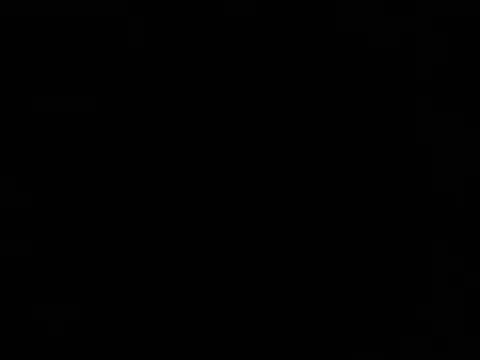 danitoxtix online show from 2, 4, 2026