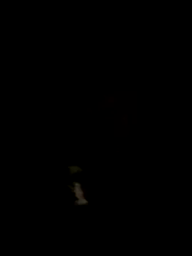 alicancetin11 online show from 9, 4, 2026