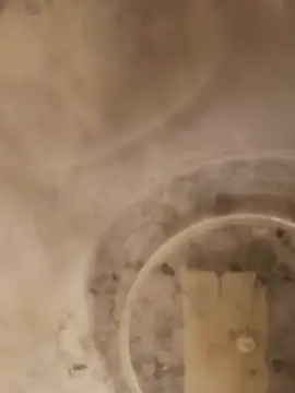 Snapshot of Shawnronald420861 chatting on 25, 6, 2026 Shawnronald420861 online show from 25, 6, 2026
