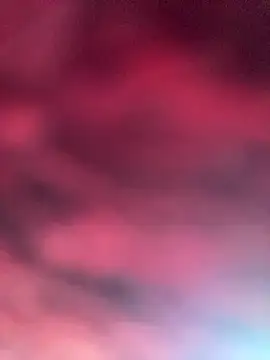 eu elisa online show from 1, 4, 2026