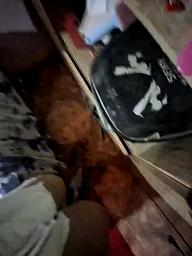 Matheus Enrique online show from 15, 4, 2026