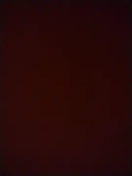 stibsas online show from 23, 7, 2026