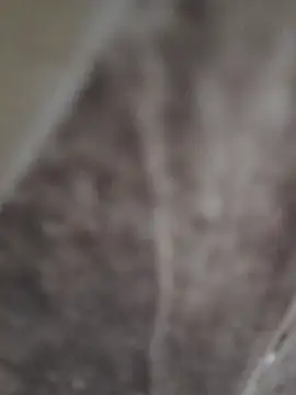 Snapshot of sk022 chatting on 15, 4, 2026 sk022 online show from 15, 4, 2026