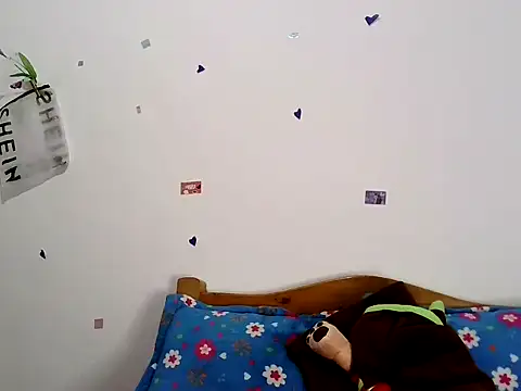 magic trans girl online show from 28, 4, 2026