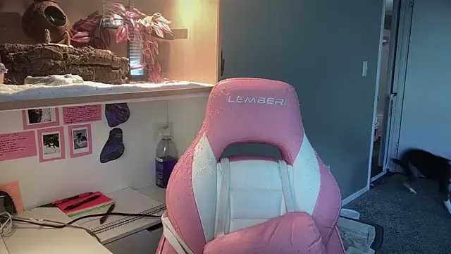 MUSCLEMOMMY1365 online show from 29, 4, 2026