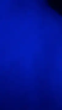 cutequeen11 online show from 15, 4, 2026