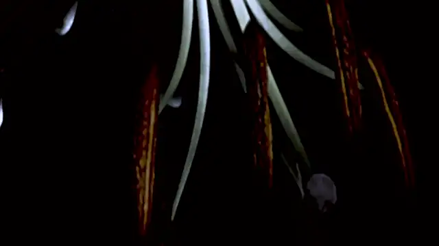 Vandaaethusa online show from 16, 4, 2026