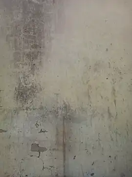 millerjail online show from 13, 7, 2026