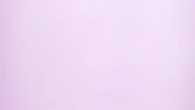 Natasha028  online show from 2, 6, 2026