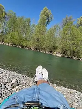 Wolf 18cm online show from 25, 4, 2026