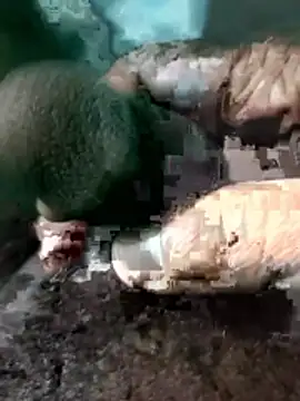 Peterhadly online show from 28, 4, 2026