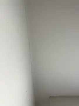 afayecd online show from 15, 7, 2026