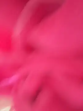 Sofianoon online show from 28, 4, 2026