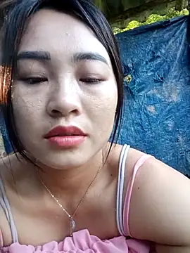 Pivi12 online show from 26, 5, 2026