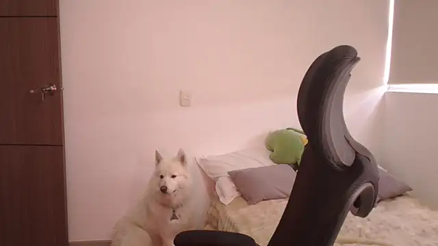 Snapshot of abbyyandmaxx chatting on 24, 6, 2026 abbyyandmaxx online show from 24, 6, 2026