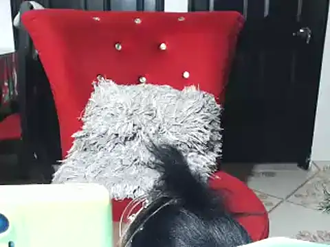 jannyheat online show from 17, 1, 2025